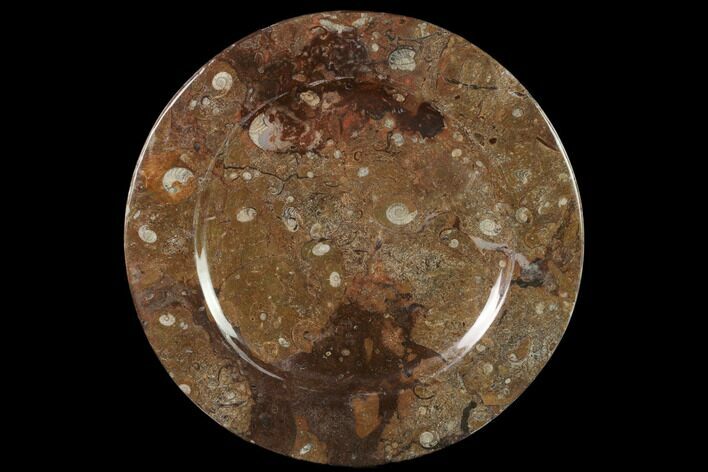 Fossil Orthoceras & Goniatite Round Plate - Stoneware #140060